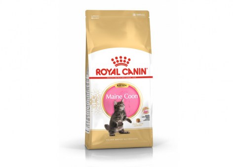 Royal Canin Maine Coon Kitten