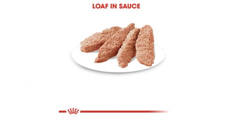 Royal Canin Instinctive Loaf