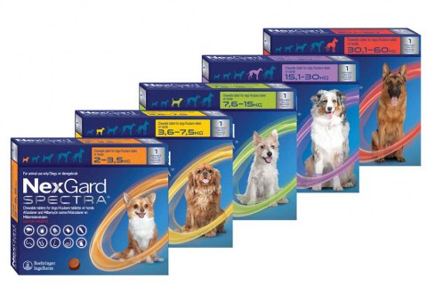 NexGard Spectra 15.1-30kg
