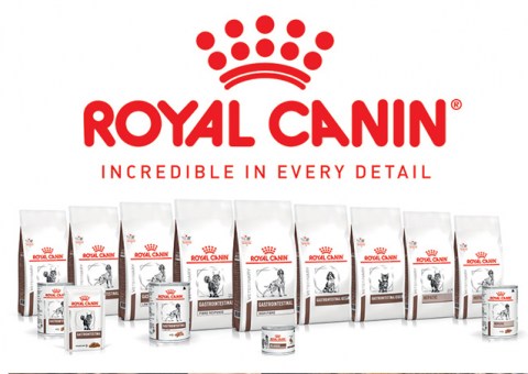 Royal Canin Gastrointestinal Moderate Calorie